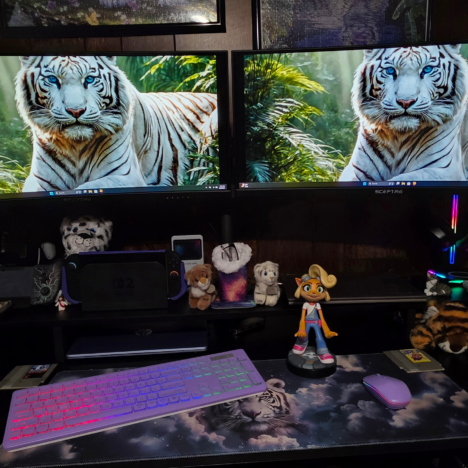 How Nintendo Impacts Market Segmentation